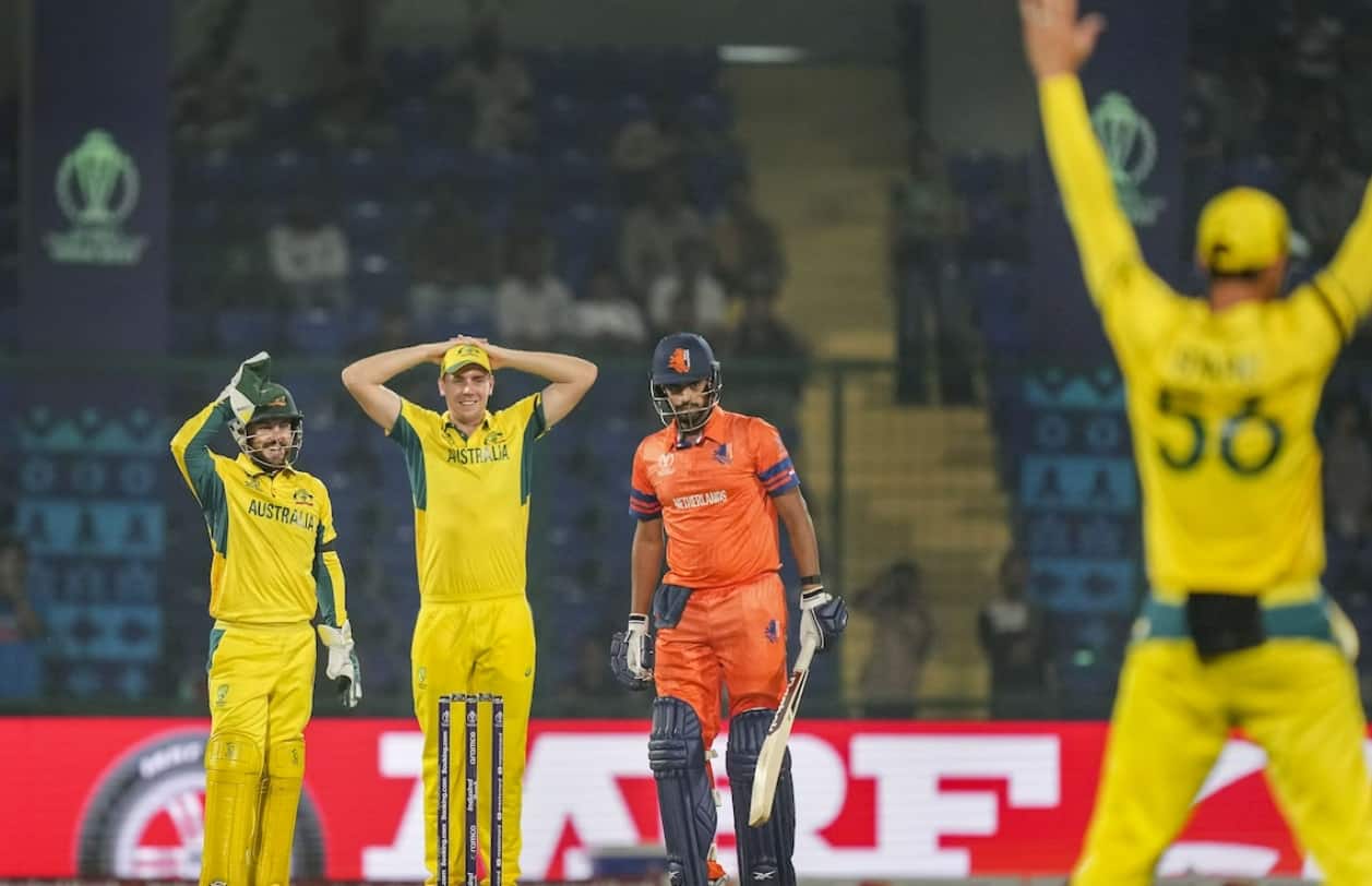 ऑस्ट्रेलिया ने धमाकेदार जीत दर्ज की, नीदरलैंड्स को 309 रनों से हराया