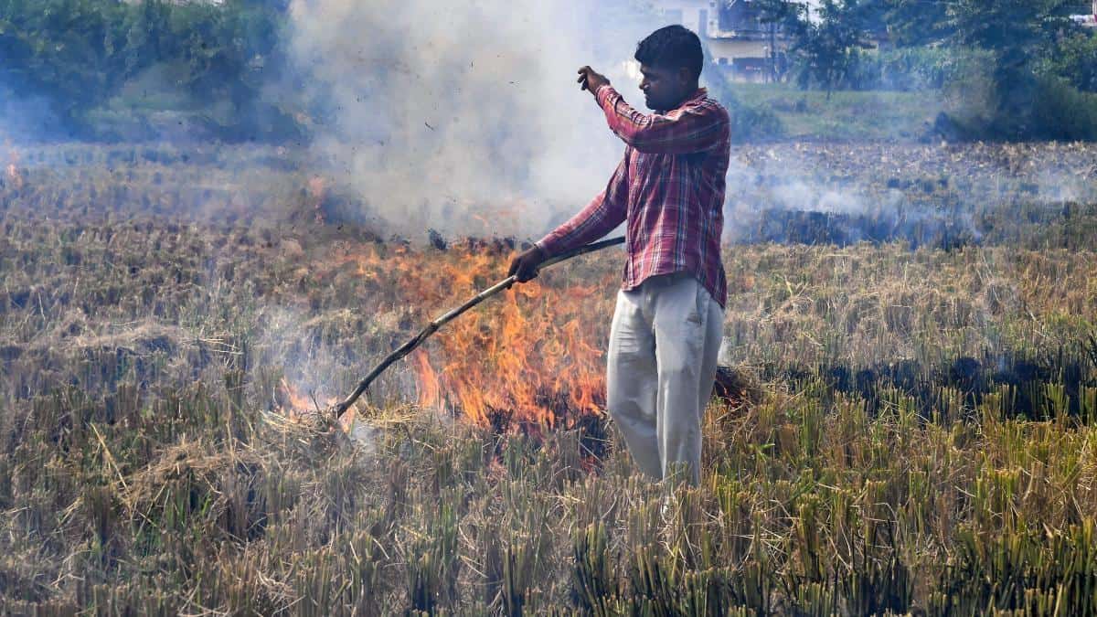 पंजाब में पराली जलाने के मामलों में बढ़ोतरी, दिल्ली में वायु प्रदूषण का खतरा